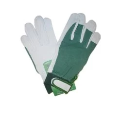 Gants En Fleur Blanc