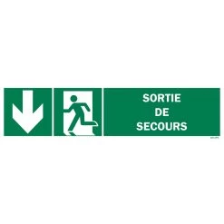 Panneau Sortie De Secours + Picto + Flèche Gauche Vers Le Bas