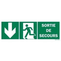 Panneau Sortie De Secours + Picto + Flèche Vers Le Bas Recto/verso