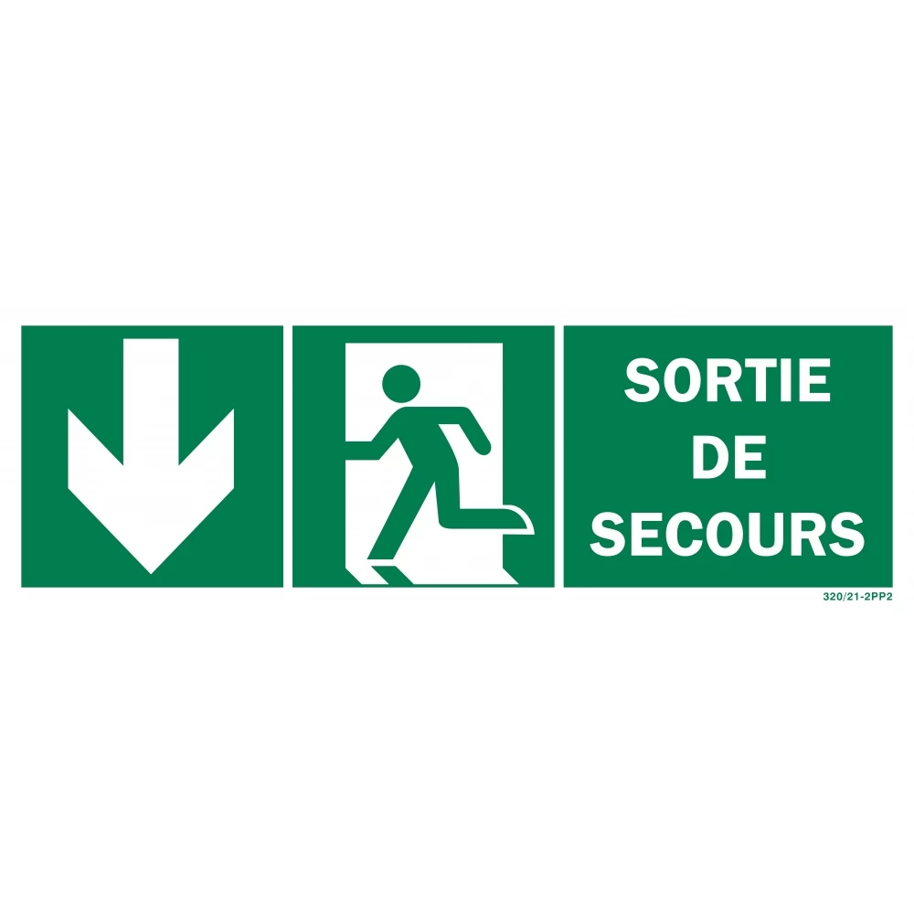Panneau Sortie De Secours + Picto + Flèche Vers Le Bas Recto/verso 1 Panneau Sortie De Secours + Picto + Flèche Vers Le Bas Recto/verso