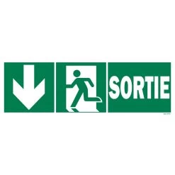 Panneau Sortie + Picto + Flèche Gauche Descente