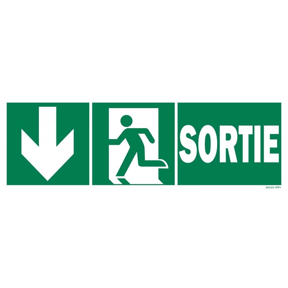 Panneau Sortie + Picto + Flèche Vers Le Bas Recto/verso 1 Panneau Sortie + Picto + Flèche Vers Le Bas Recto/verso