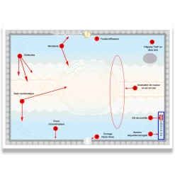 Papier Diplôme - Haute Sécurité X17 -Zebra Promos Magasin papier diplome haute securite x17 5