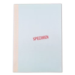 Papier Sécurisé Anti-fraude X5