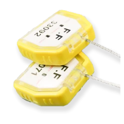 Scellé-cadenas Porte-Clés